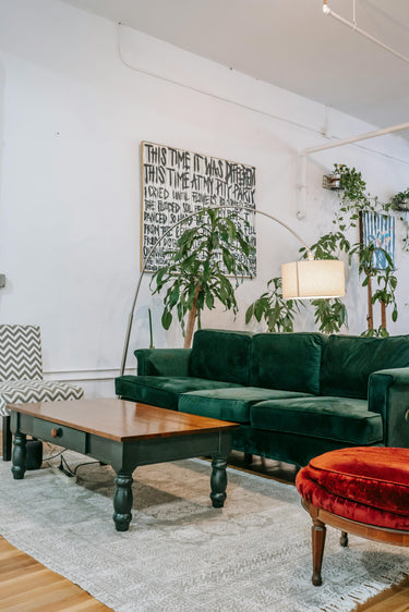 Cushion and Seats